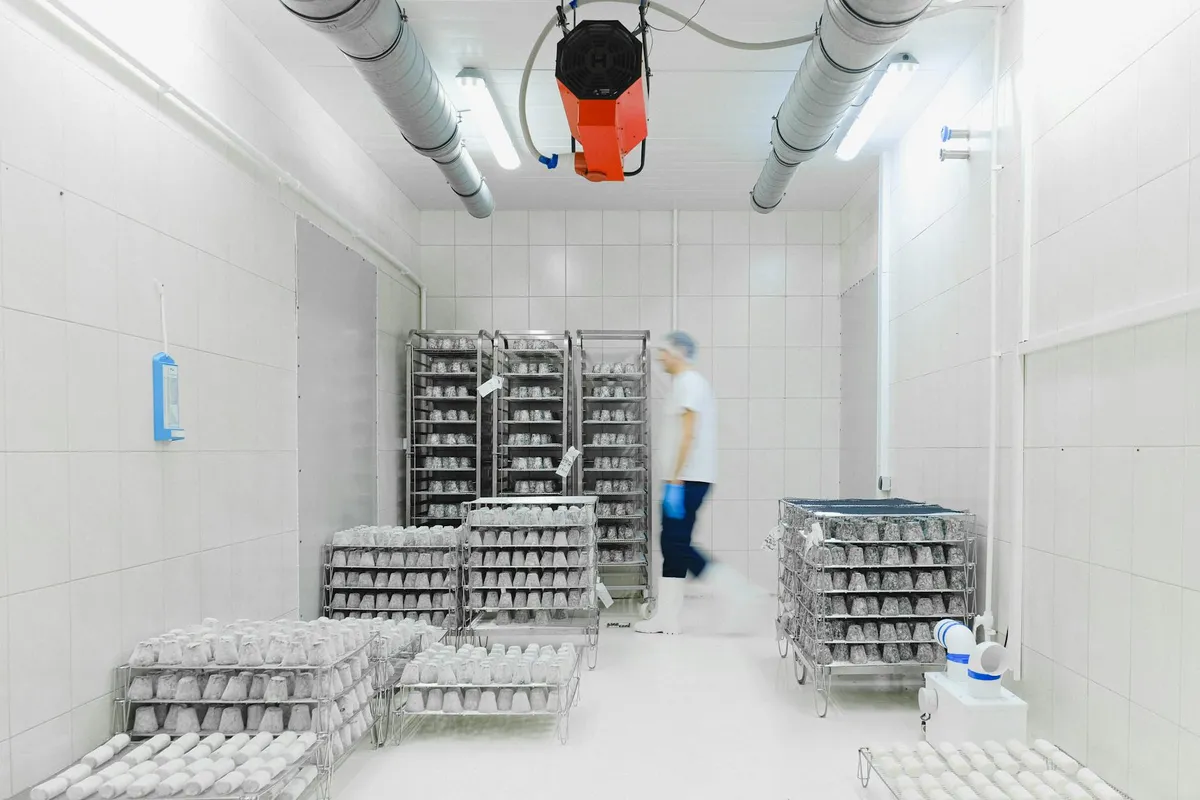 A pharmaceutical cold storage facility