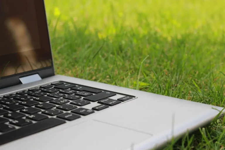 Kappaturf Review: What It Is, Features, Safety, and Alternatives